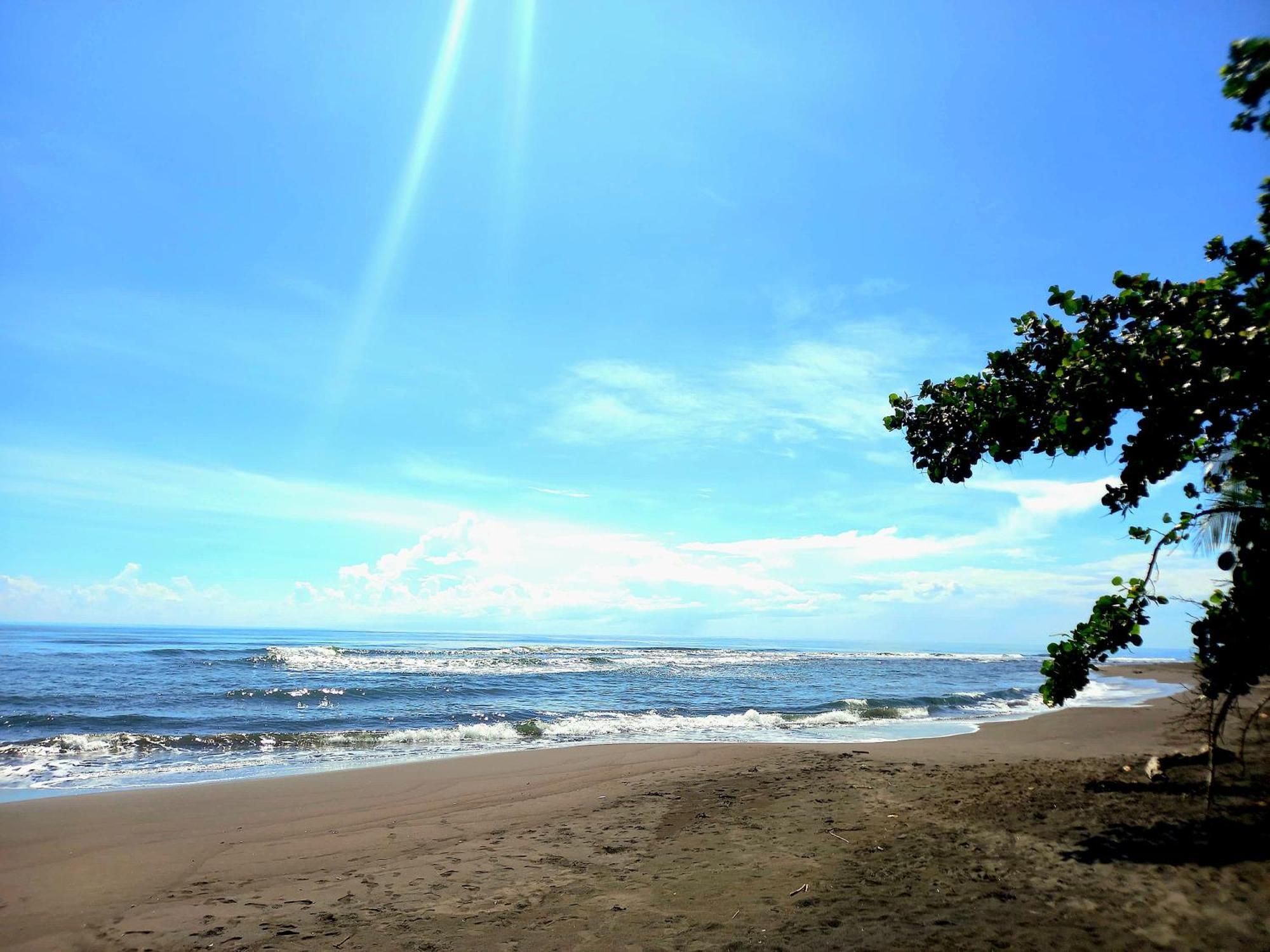 Tortuguero Adventures Beach House Exterior foto