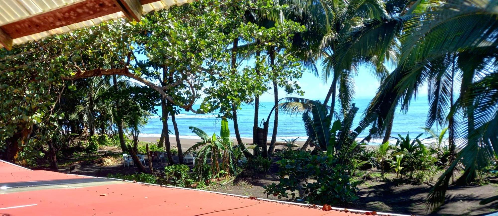 Tortuguero Adventures Beach House Exterior foto