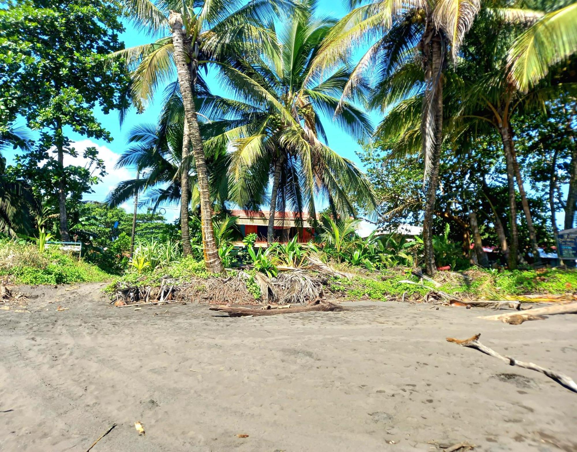Tortuguero Adventures Beach House Exterior foto