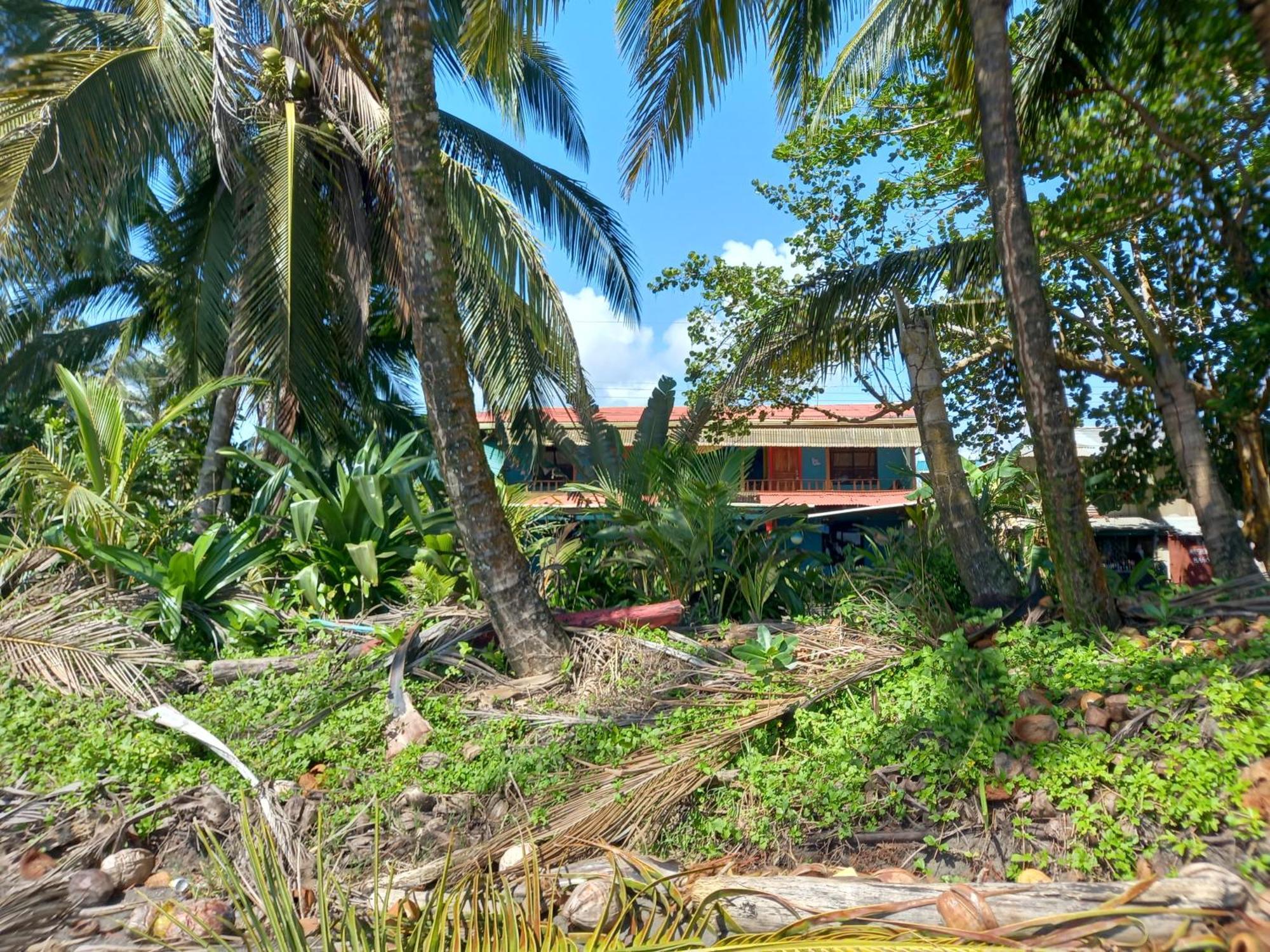 Tortuguero Adventures Beach House Exterior foto
