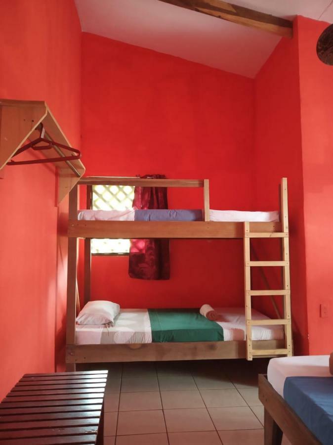 Tortuguero Adventures Beach House Exterior foto
