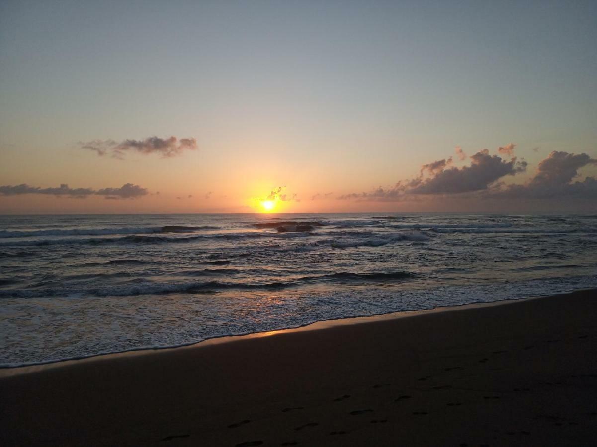 Tortuguero Adventures Beach House Exterior foto