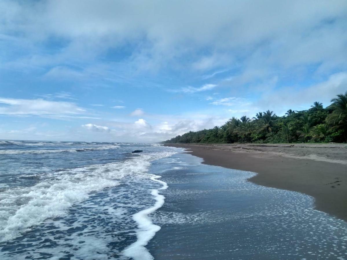 Tortuguero Adventures Beach House Exterior foto